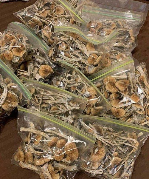 Magic Mushroom