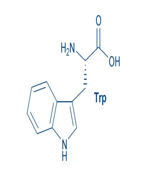 Buy Amino Acid Derivatives Online